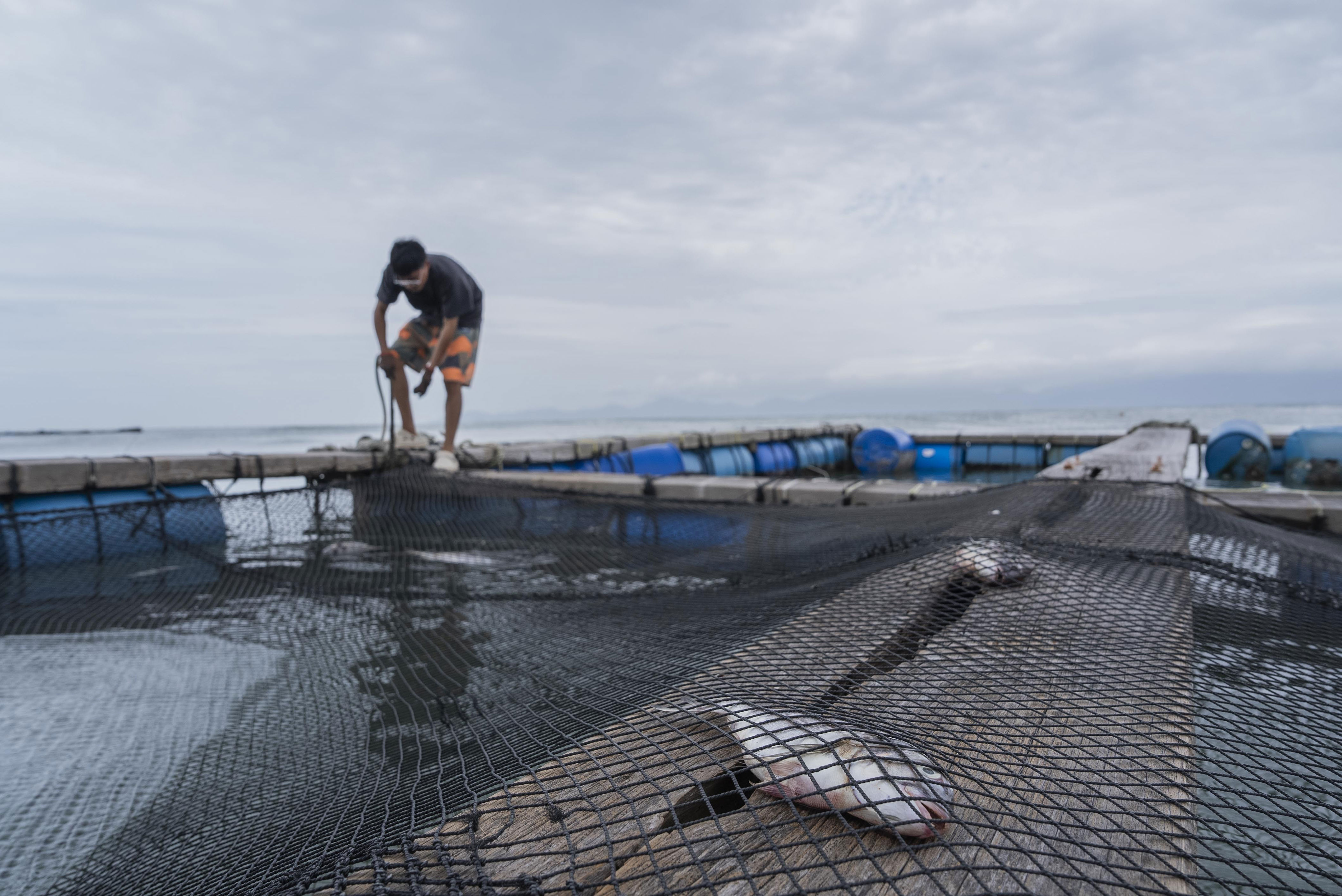 对比图, img, 人没事